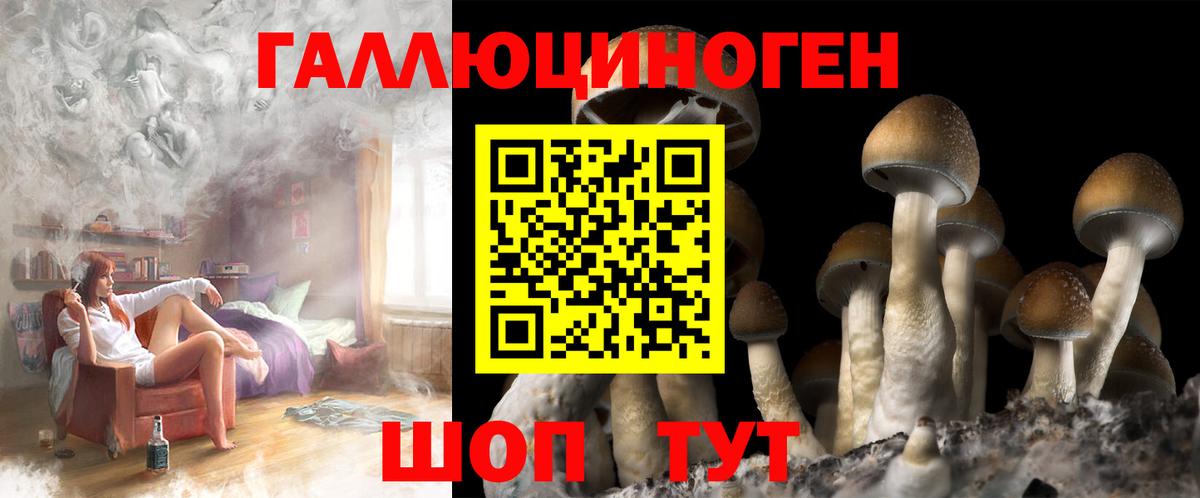 Борисоглебск  Галлюциногенные грибы Psilocybine cubensis  Вход с VPN 